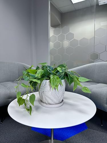 White 7 Inch Indoor Ceramic Planter Pot with Saucer and Drainage Hole O585