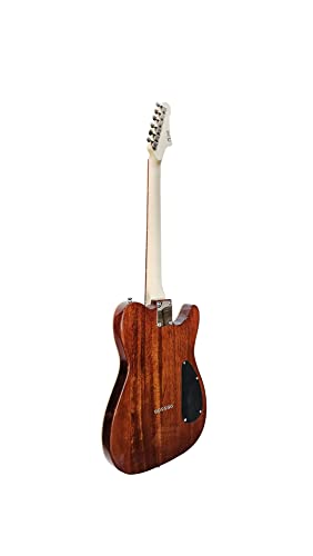 Natural Semi-Hollow-Body Electric Guitar S594