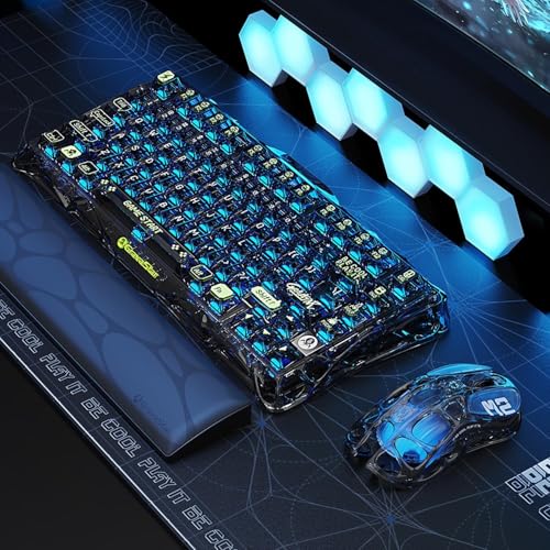 Wireless Gaming Mouse with 26000 DPI P6069
