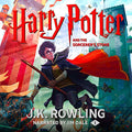 Harry Potter and the Sorcerer's Stone, Book 1 N15545