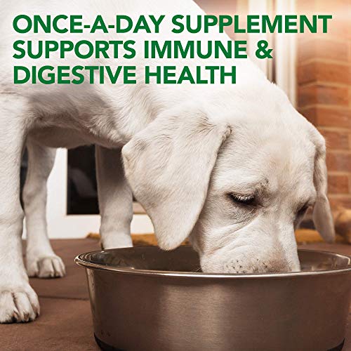 Probiotic Soft Chews Dog Supplement, 90 Day Supply E297736