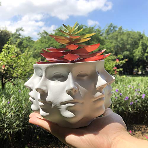 Small Face Planter Vase Indoor Plant Pot W556