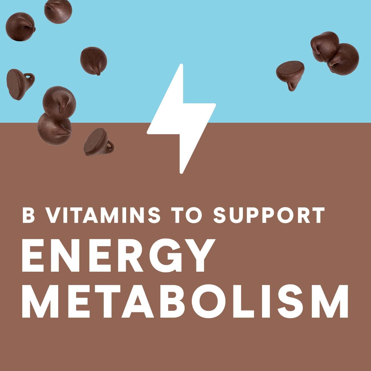 Chocolate Chip Cookie Dough Protein Bars, 10g Protein, 12 Bars Q477