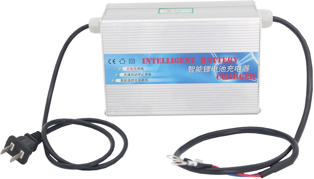 12V 200Ah Deep Cycle LiFePO4 Battery with Built-in 100AH BMS M445980