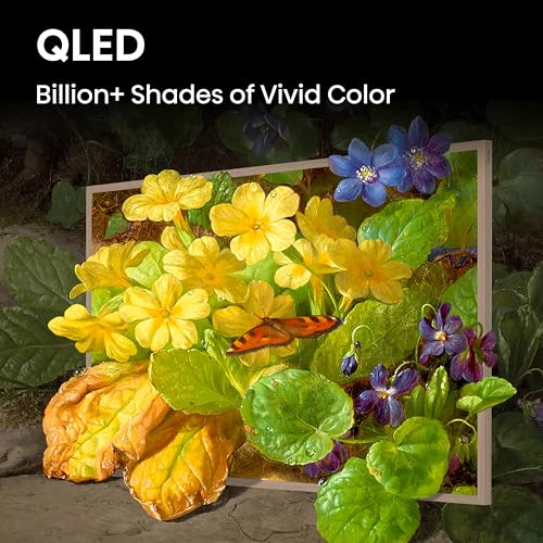 65-Inch QLED 4K Smart TV with Anti-Glare Panel R8825