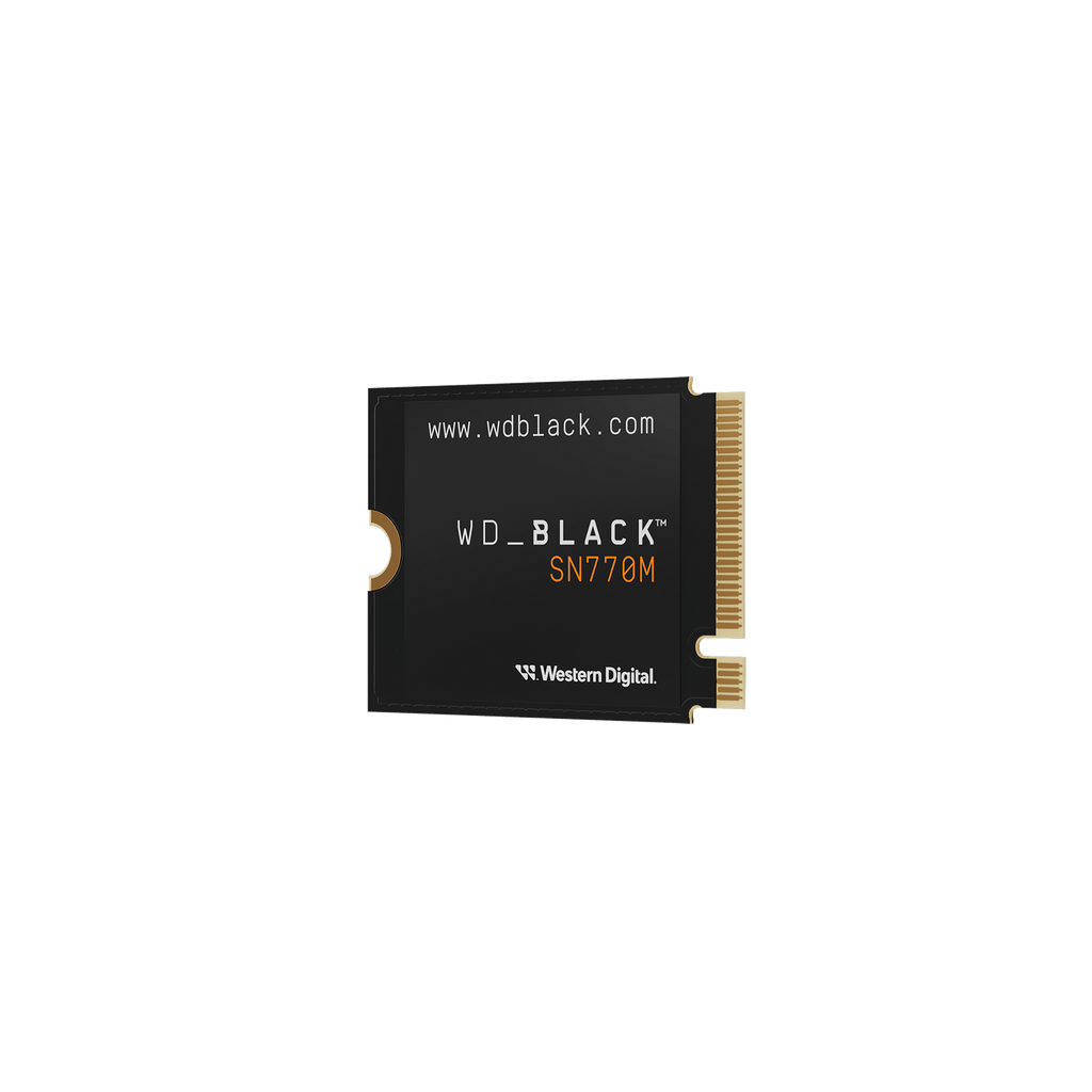 500GB M.2 2230 NVMe SSD F5810