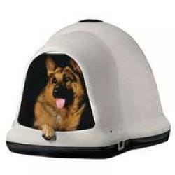XL Dog House W2215