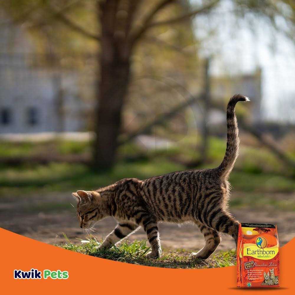 Primitive Feline Dry Food D239