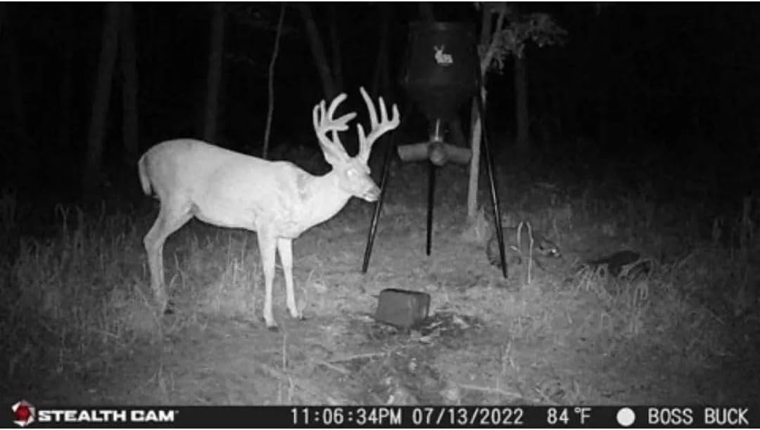 24MP Trail Camera - 2 Pack U47946