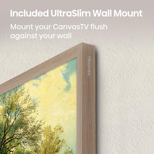 65-Inch QLED 4K Smart TV with Anti-Glare Panel R8825