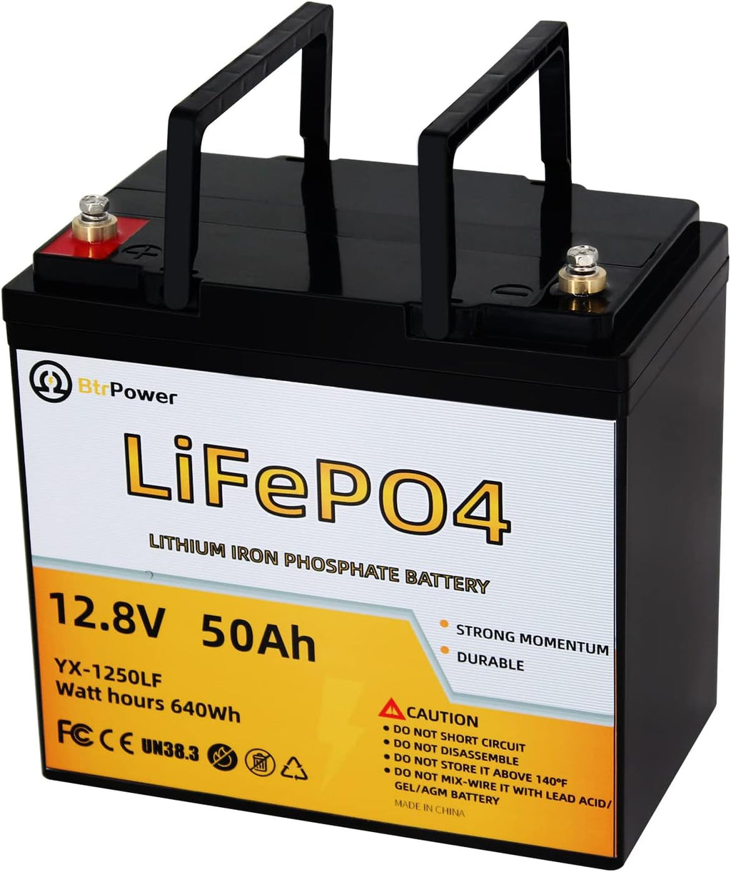 12V 200Ah Deep Cycle LiFePO4 Battery with Built-in 100AH BMS M445980