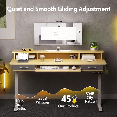 48x24 Inches Electric Standing Desk with 2 Drawers, Height Adjustable, Oak W48203