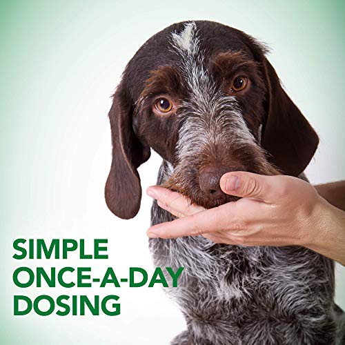 Probiotic Soft Chews Dog Supplement, 90 Day Supply E297736