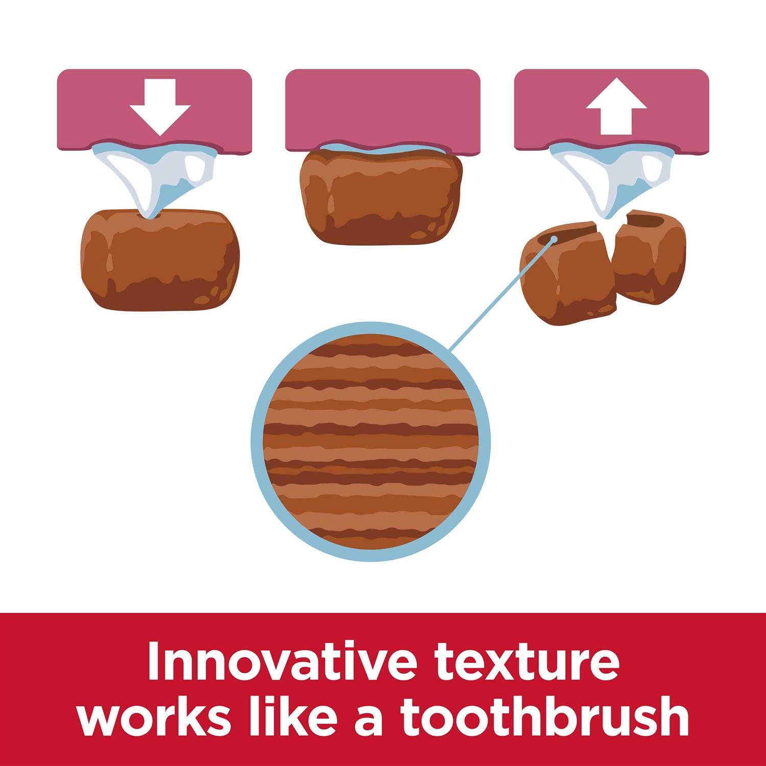 Adult Oral Care Small & Mini Chicken Recipe Dry Dog Food T21010