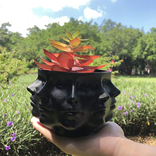 Small Face Planter Vase Indoor Plant Pot W556