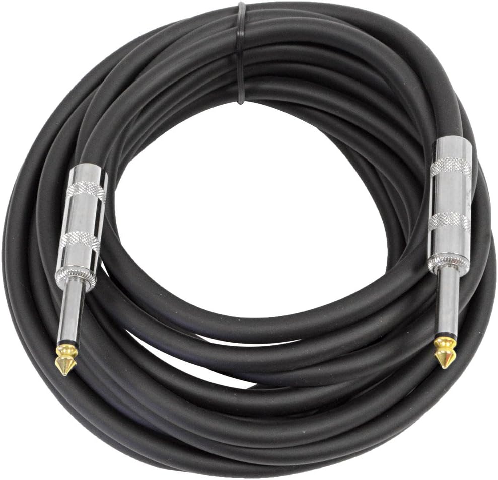 Pair of 10 Inch DJ Speakers with two 20' Speaker Cables X408050