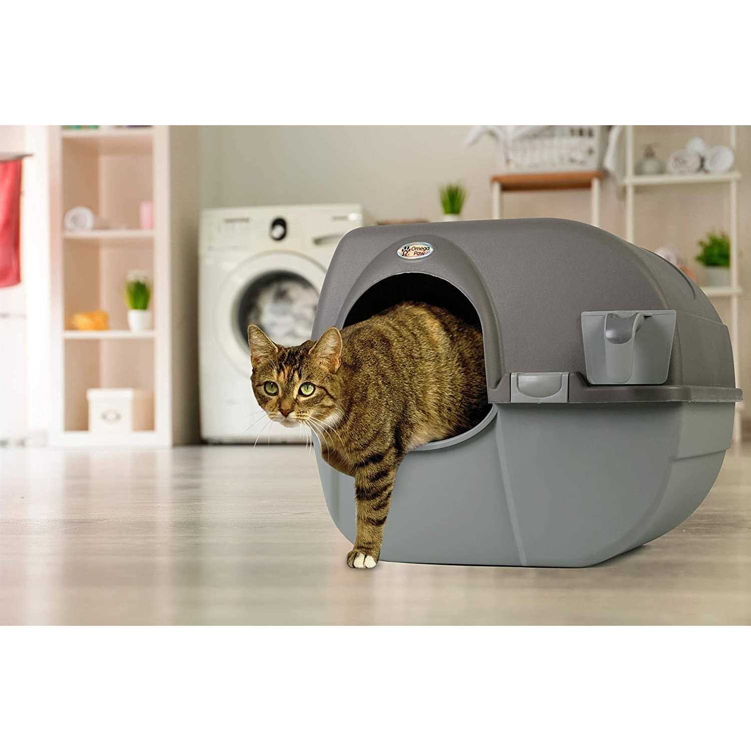 Self Cleaning Litter Box V506