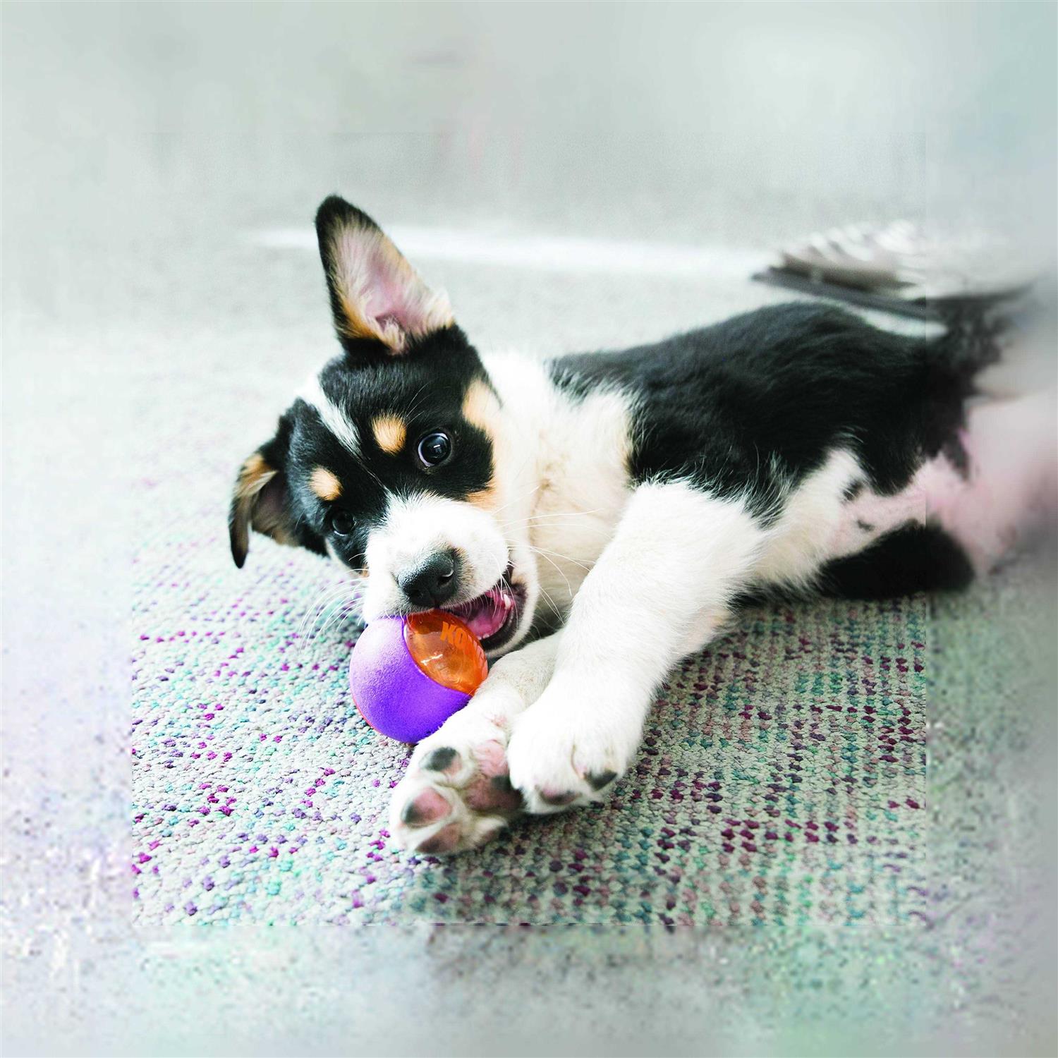 Squeezz Action Ball Dog Toy D960873