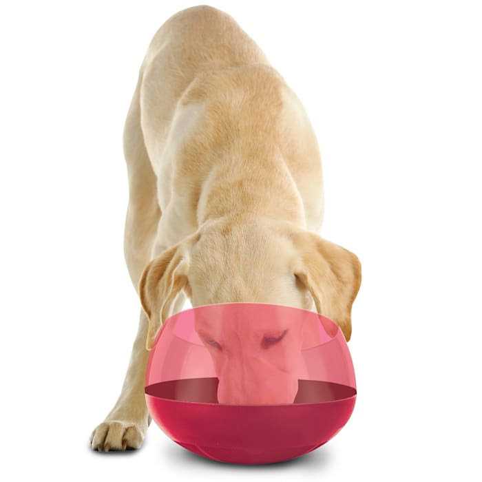 Burgundy Rocking Interactive Slow Feeder Dog Bowl L644839