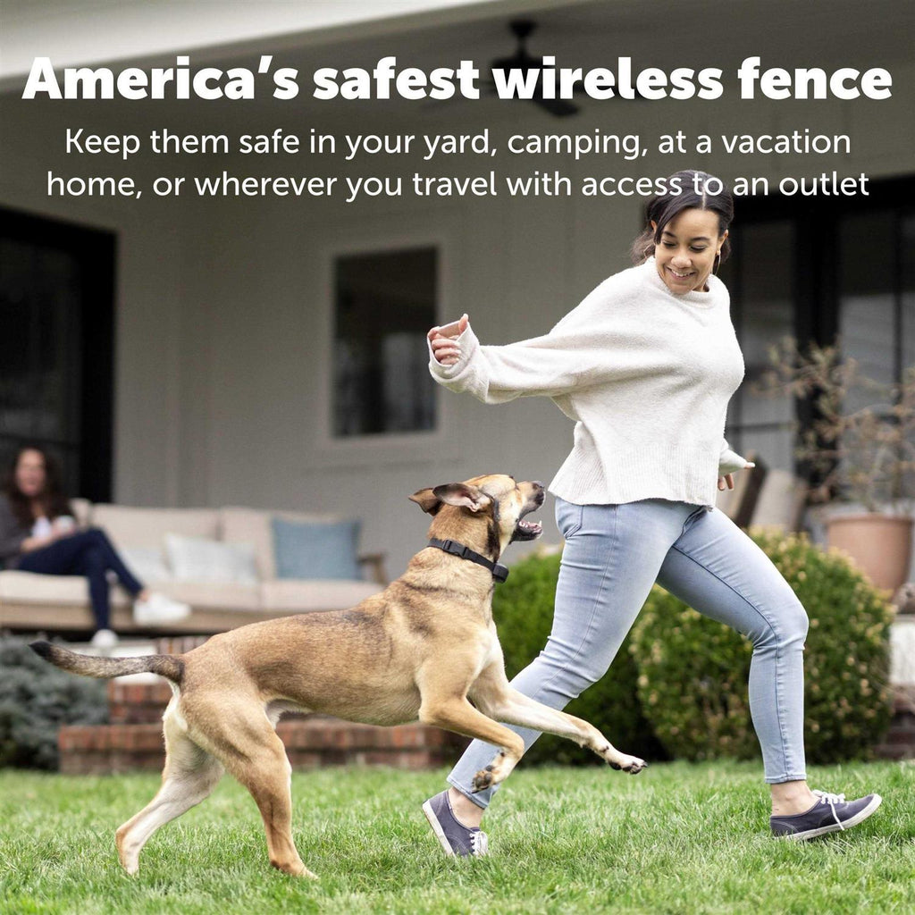 Wireless Fence Receiver Collar S384