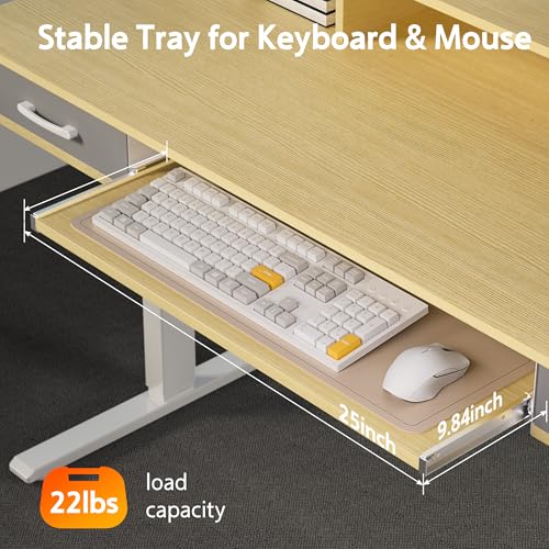 48x24 Inches Electric Standing Desk with 2 Drawers, Height Adjustable, Oak W48203