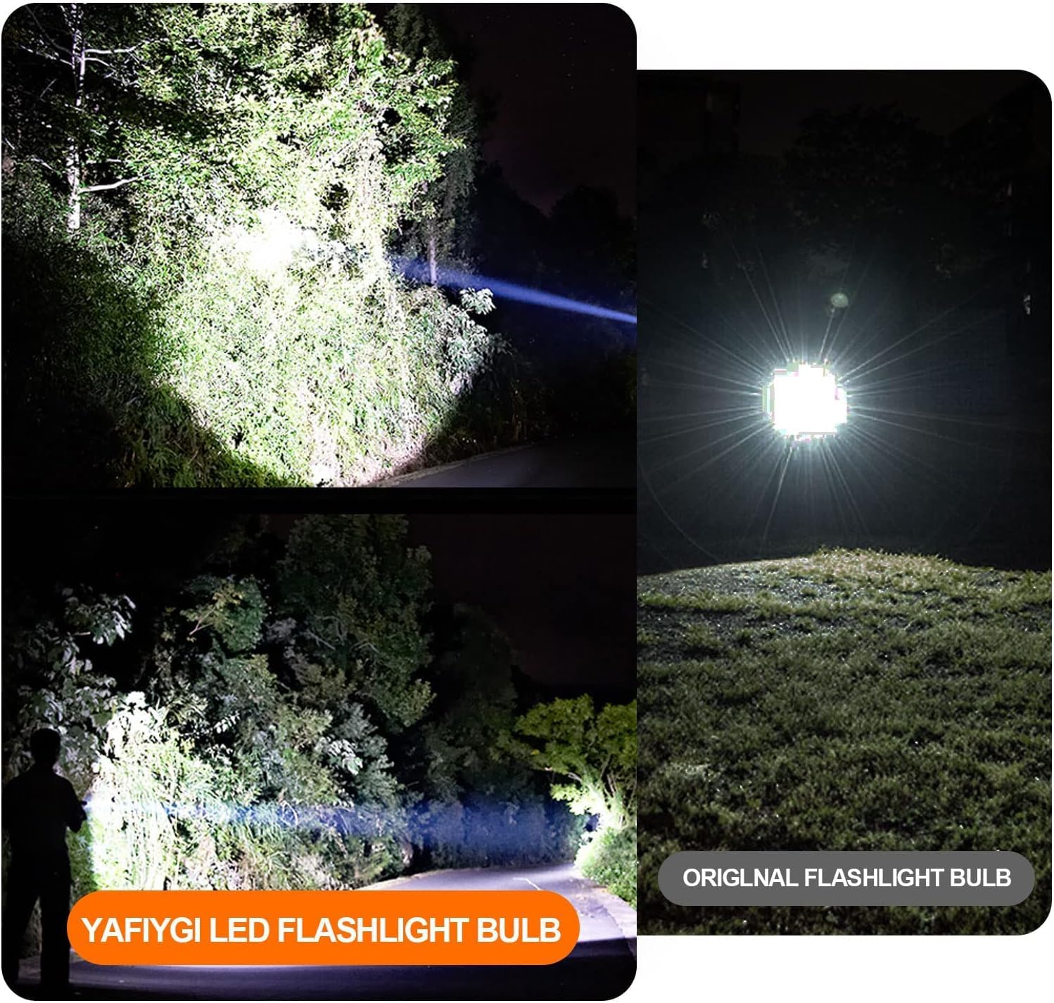 3 Pack White LED Flashlight Bulb P13.5S PR2 3W 3V 4.5V 6V Replacement Set L965