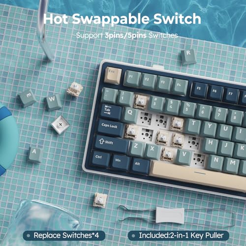 75% Wireless Mechanical Keyboard with Knob and PBT Keycaps I3561