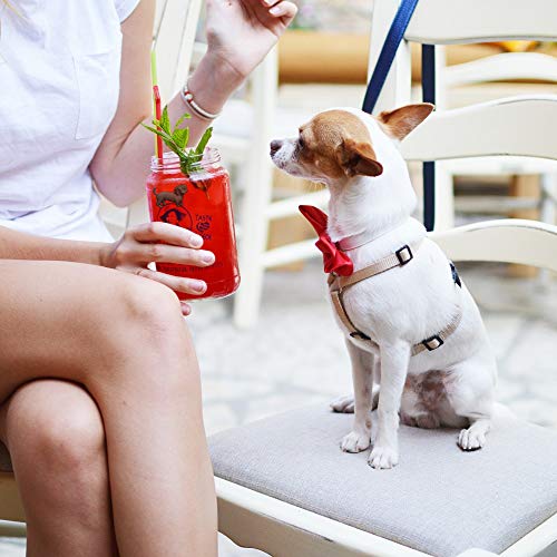 Set of 6 Dog Wine Charms for Stemless Glasses U3600