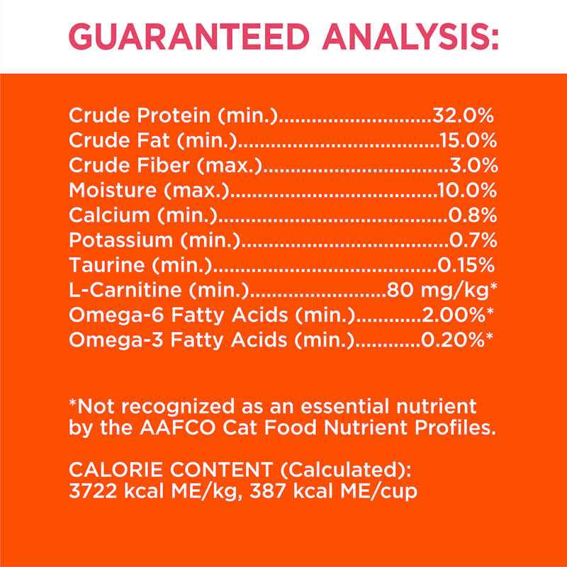 Salmon Adult Dry Cat Food L69157