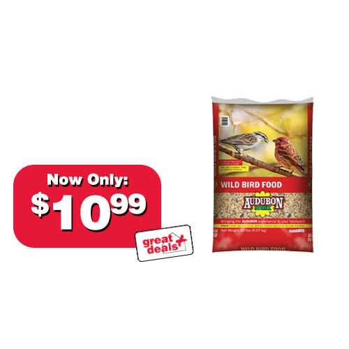 Wild Bird Food Z1762