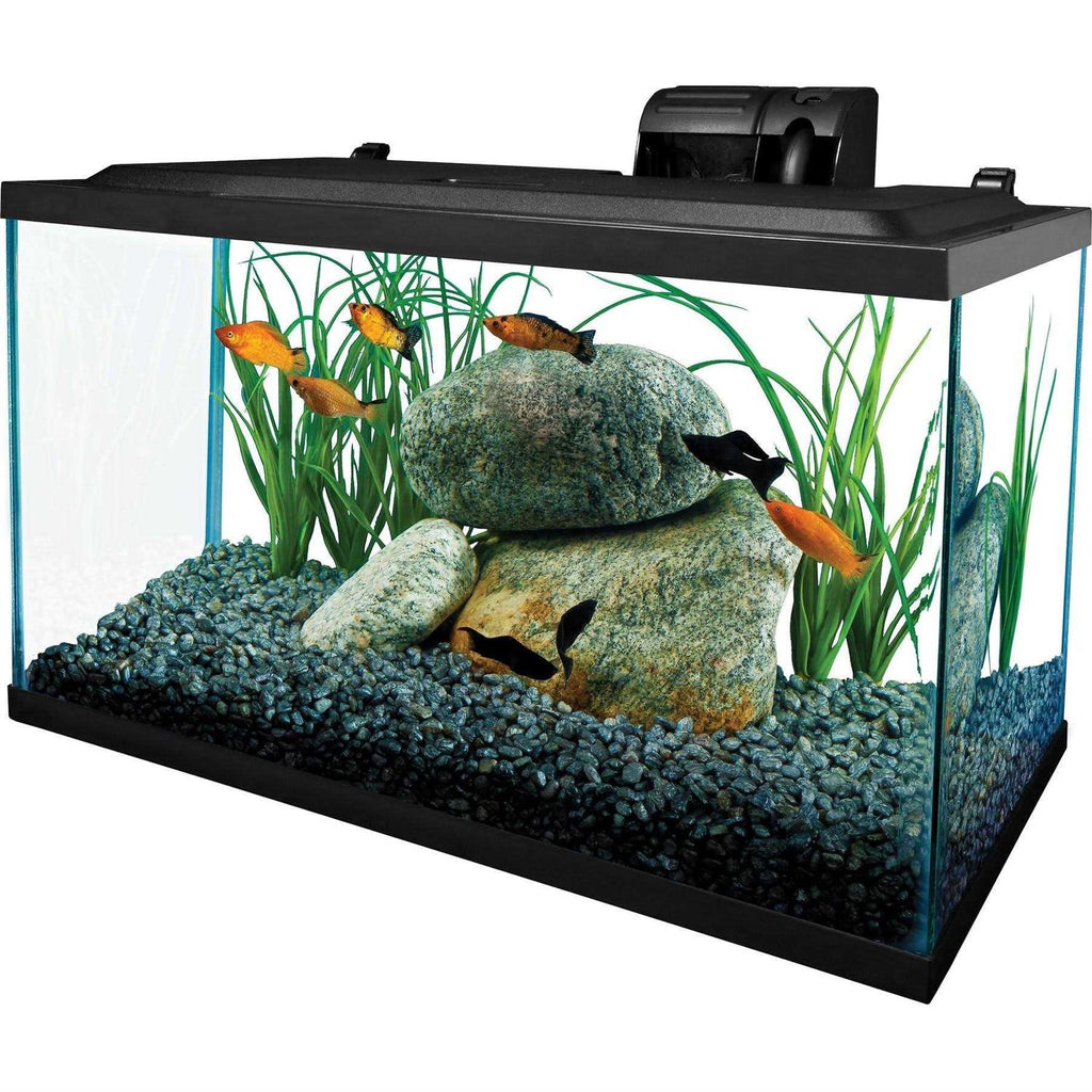 10 Gallons Glass Aquarium R79136