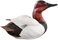 Canvasback Large Decoy V254