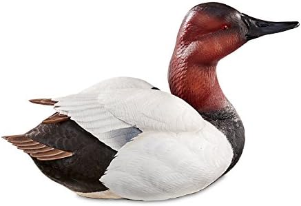Canvasback Large Decoy V254