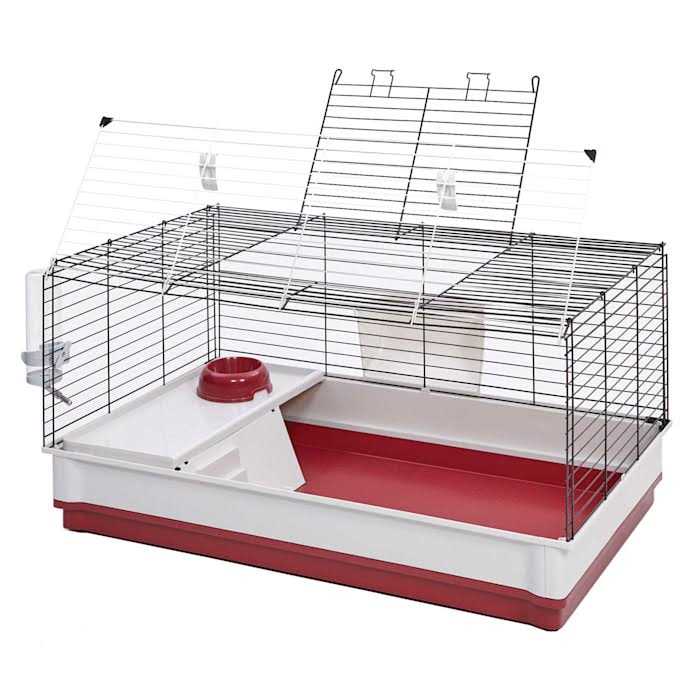 Rabbit Home Y518287