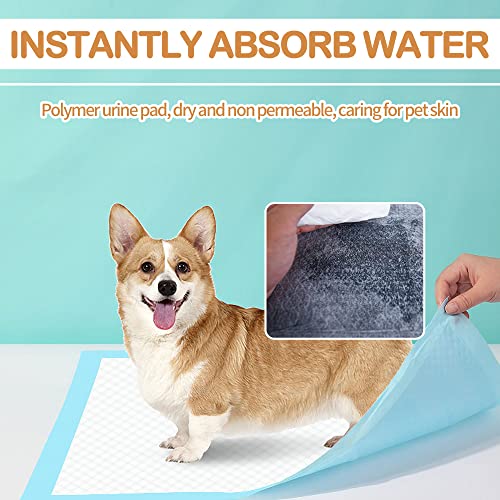 Black Charcoal Puppy Pads 10 Count Z624708