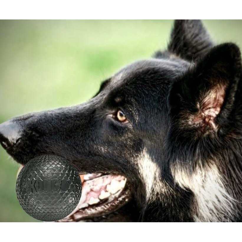 Duramax Ball Dog Toy A2491