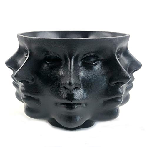 Small Face Planter Vase Indoor Plant Pot W556