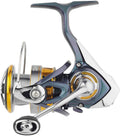 Blue Spin Reel O47448