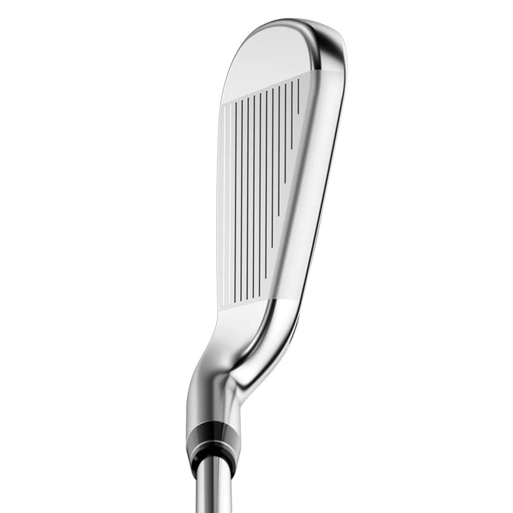 Big Bertha B21 Iron Set 7-PW+SW E174