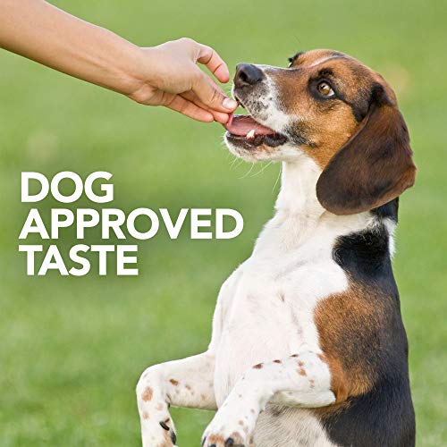 Probiotic Soft Chews Dog Supplement, 90 Day Supply E297736