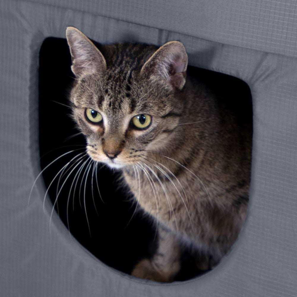 Outdoor Cat House D659540