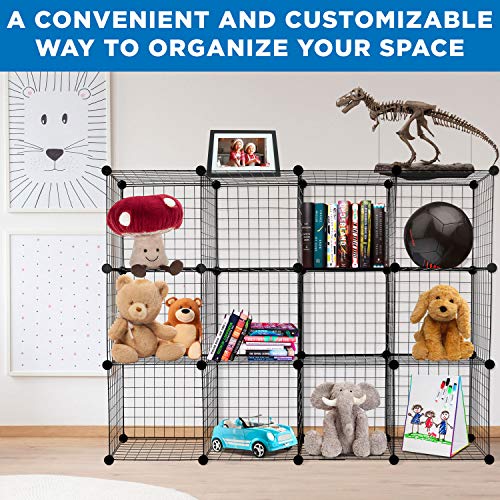 12-Cube Black Metal Wire Storage Organizer E503683