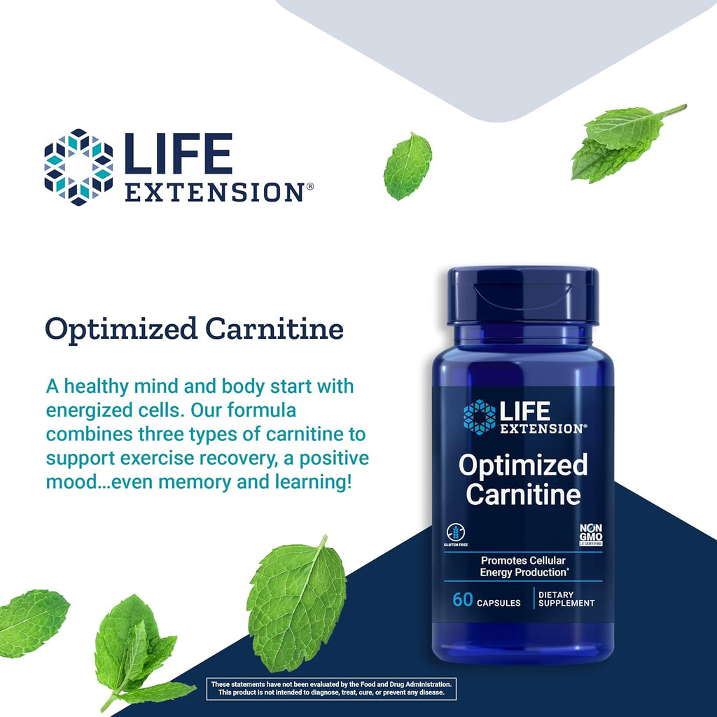 L-Carnitine Supplement 60 Capsules W324005
