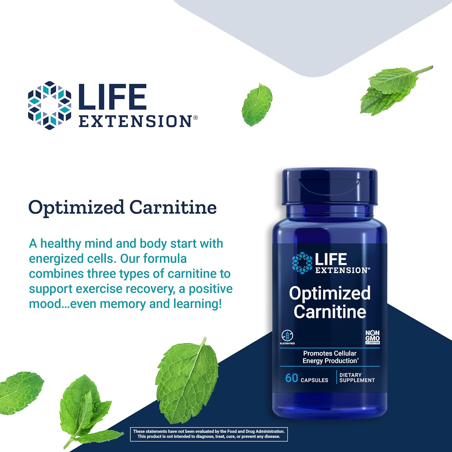 L-Carnitine Supplement 60 Capsules W324005
