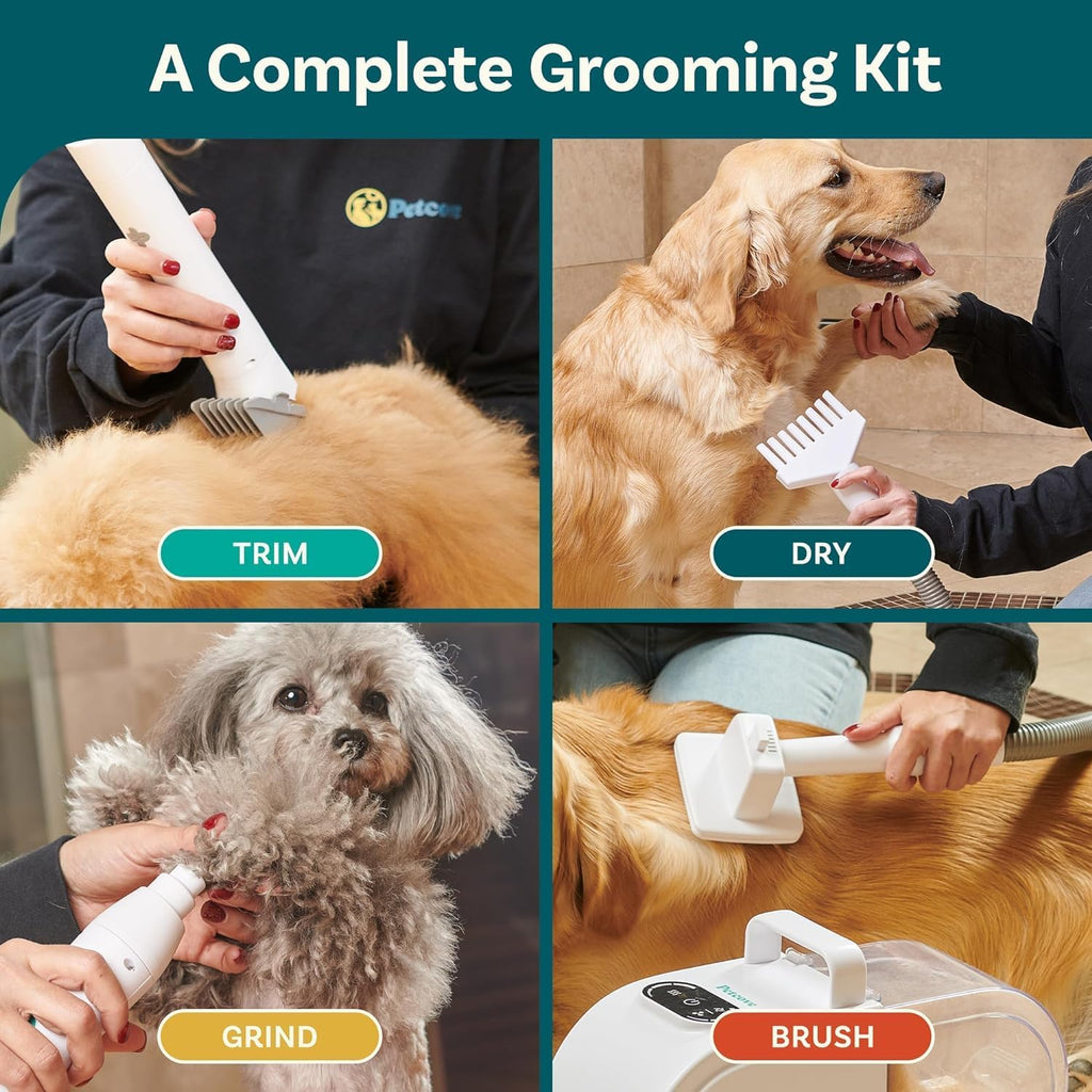 Dog Grooming Kit and Dog Hair Dryer N575771