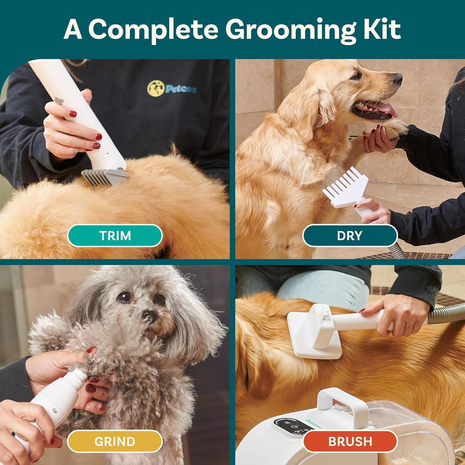 Dog Grooming Kit and Dog Hair Dryer N575771