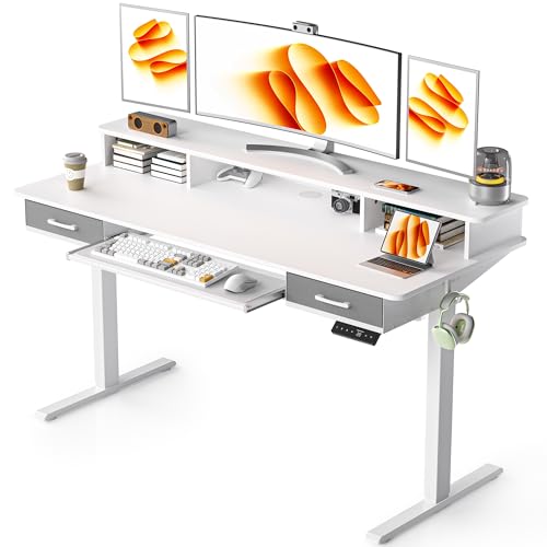 48x24 Inches Electric Standing Desk with 2 Drawers, Height Adjustable, Oak W48203