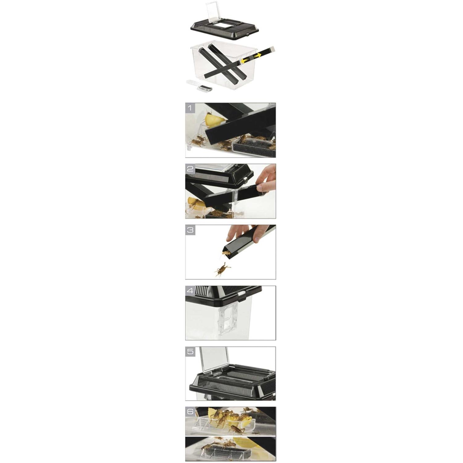 Cricket Pen L894579