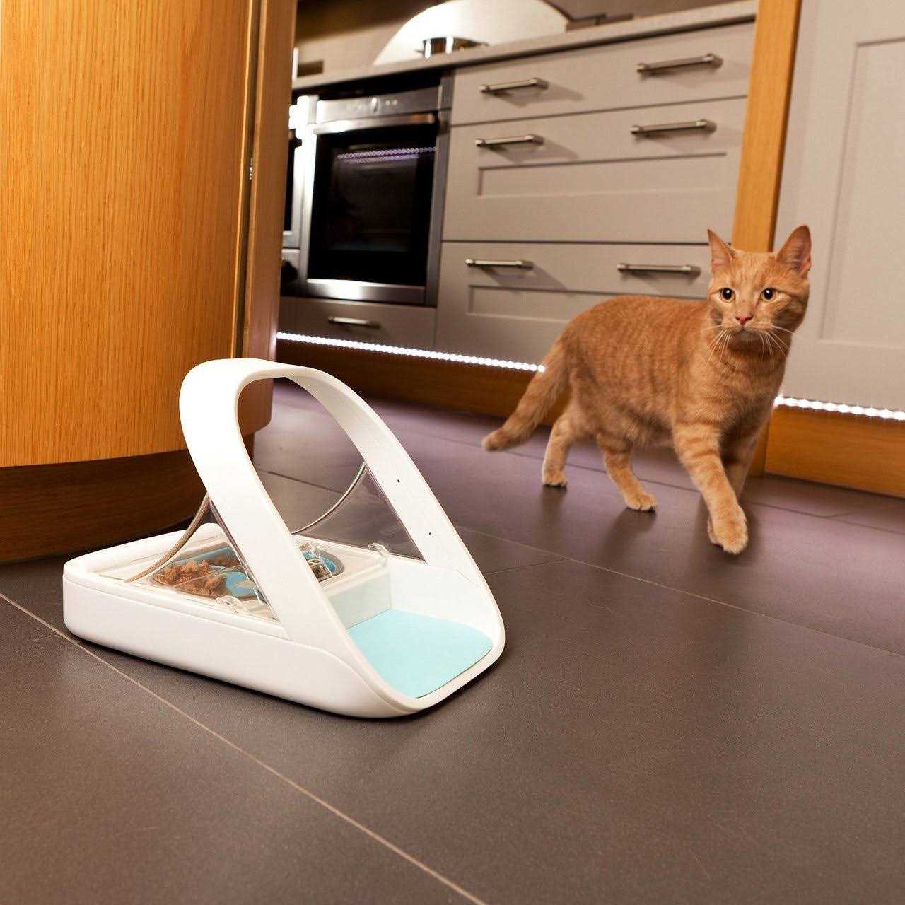 Microchip Pet Feeder N657688