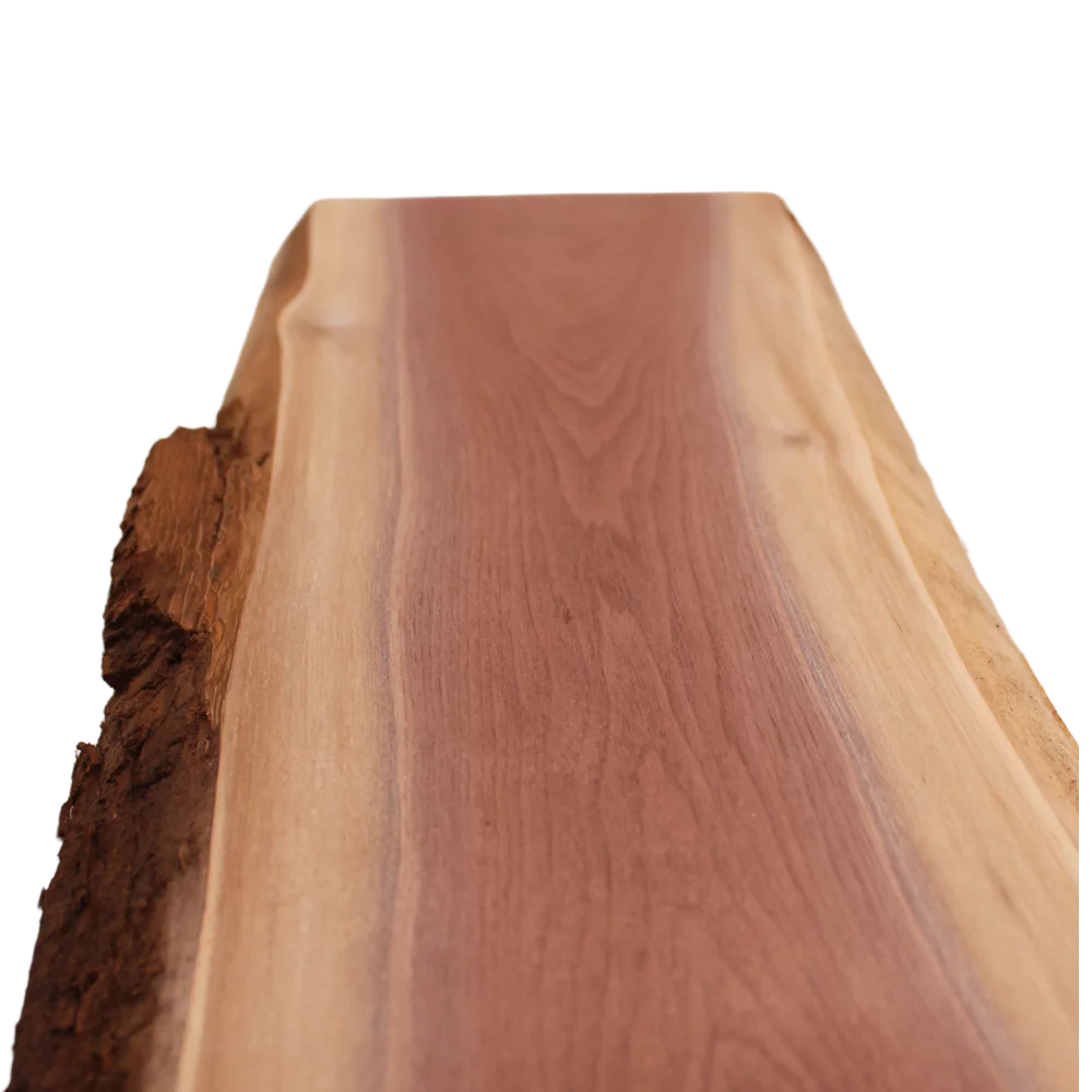 Live Edge Walnut Slab B832